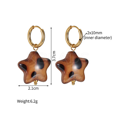 304 Stainless Steel & Acrylic Hoop Dangle Earrings WGAB57F-04-1