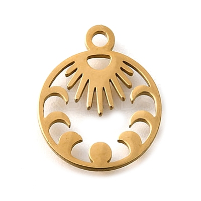 304 Stainless Steel Charms STAS-S178-01G-1