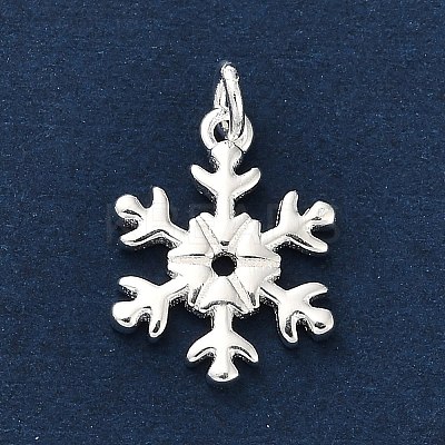 925 Sterling Silver Pendants FIND-Z069-04S-B-1