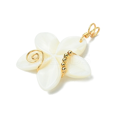 Natural Carved Freshwater Shell Pendants PALLOY-JF03390-1