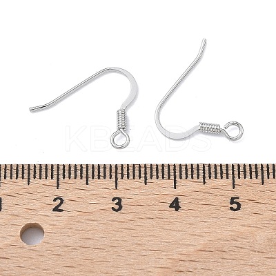 SHEGRACE Brass Earring Hooks XGR0139P-152P-1