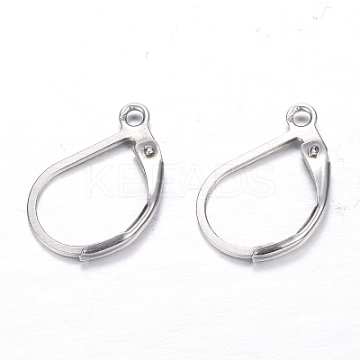 Tarnish Resistant 304 Stainless Steel Leverback Earring Findings STAS-M217-03-1