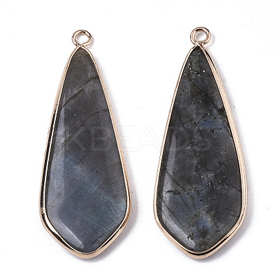 Natural Labradorite Pendants X-G-S359-108A-1