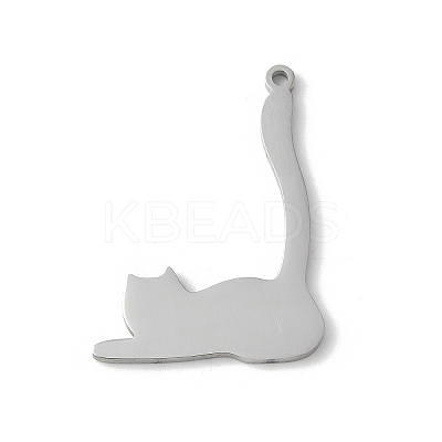 304 Stainless Steel Pendants LS-STAS-E501-11P-1