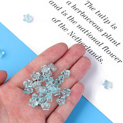 Transparent Acrylic Beads MACR-S373-45-B15-1