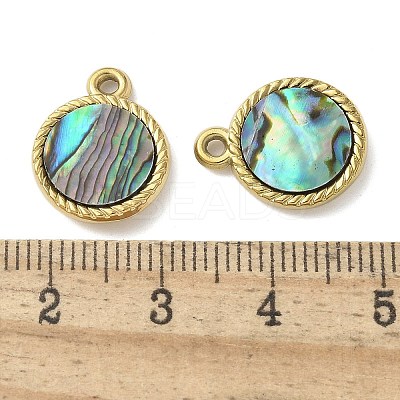304 Stainless Steel Natural Paua Shell Pendants STAS-U037-12G-01-1