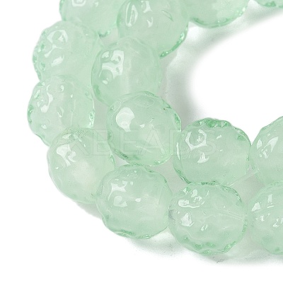 Handmade Lampwork Beads Strands LAMP-Z011-01K-1