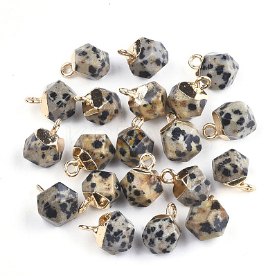 Electroplate Natural Dalmatian Jasper Charms X-G-S344-08D-1