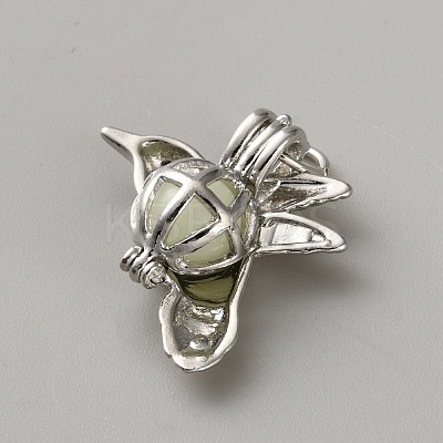 Alloy Bead Cage Pendants FIND-WH0173-218B-1