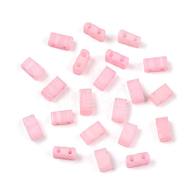 2-Hole Baking Paint Glass Seed Beads SEED-S023-17B-23-1