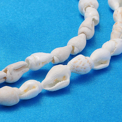 Natural Trumpet Shell Beads Strands S02KI011-1