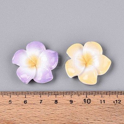 Plumeria Flower Opaque Resin Cabochons CRES-T025-30M-01-1