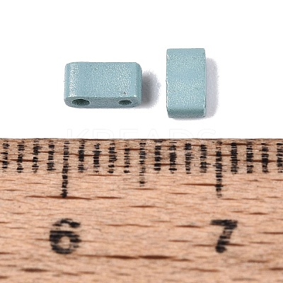 2-Hole Baking Paint Glass Seed Beads SEED-S023-17B-43-1