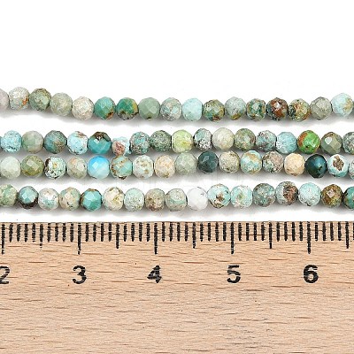 Natural HuBei Turquoise Beads Strands LS-G-L628-B02-3mm-01-1