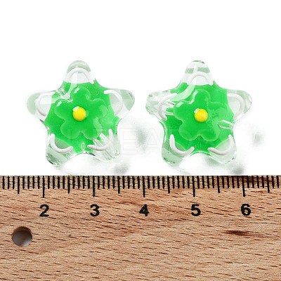 Transparent Glass Beads LAMP-H065-02B-1