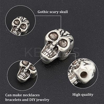 Tibetan Style Alloy Beads TIBEB-UN0001-02-1