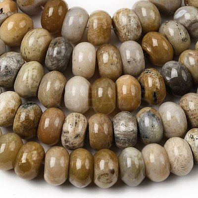Natural Fossil Coral Beads Strands G-A280-A08-03-1
