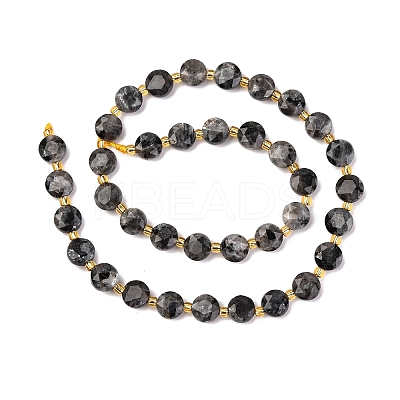 Natural Larvikite Beads Strands G-C116-A30-02-1
