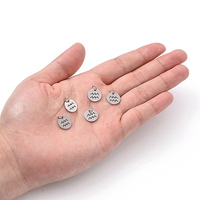 Non-Tarnish 304 Stainless Steel Charms STAS-Q201-T445-11S-1