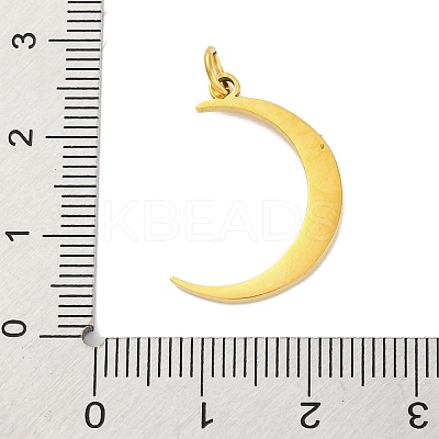 304 Stainless Steel Micro Pave Cubic Zirconia Pendants LS-STAS-Z096-01G-03-1