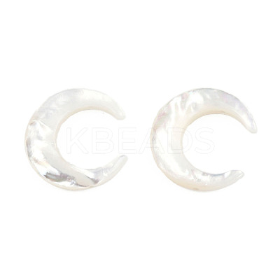 Natural White Shell Connector Charms SSHEL-N034-159-1