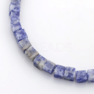 Cube Natural Blue Spot Jasper Beads Strands G-P057-05-1