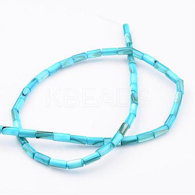 Natural Shell Bead Strands BSHE-P016-M-1