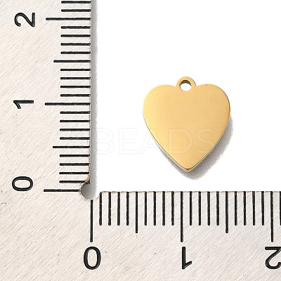 Ion Plating(IP) 304 Stainless Steel Enamel Charms STAS-P371-070G-1