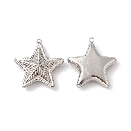 Non-Tarnish 304 Stainless Steel Pendants STAS-C073-03P-1