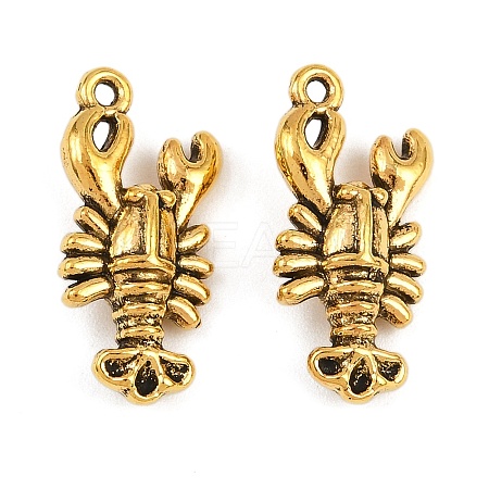 Tibetan Style Alloy Pendants LS-FIND-Z093-01AG-1