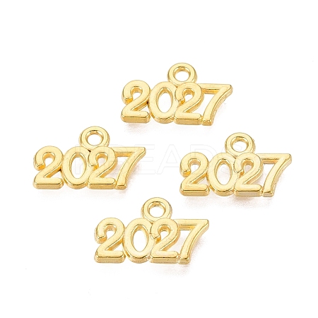 New Year's Day Alloy Charms FIND-N014-01G-1