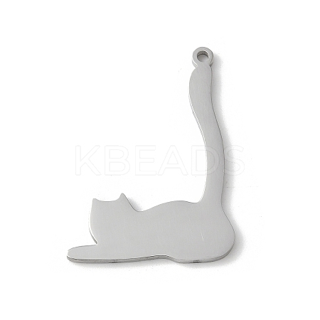 304 Stainless Steel Pendants LS-STAS-E501-11P-1