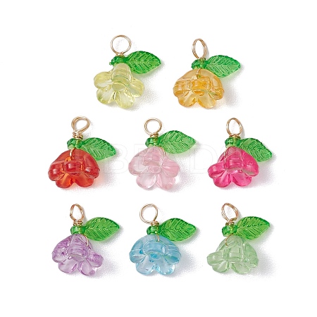 Acrylic Charms PALLOY-JF03079-1