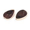 Dyed Natural Freshwater Shell Beads SHEL-T020-23-2