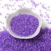 Glass Seed Beads SEED-S042-13A-10-2