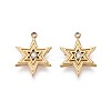 304 Stainless Steel Micro Pave Cubic Zirconia Charms STAS-N115-53G-1