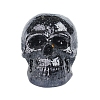 Resin Skull Display Decoration PW-WG35334-05-1