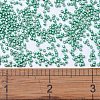 MIYUKI Delica Beads SEED-J020-DB1182-1