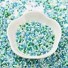 Baking Paint Glass Seed Beads SEED-S042-05B-52-2