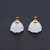 Glass Charms LS-PALLOY-P285-31G-02-3