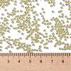 TOHO Round Seed Beads SEED-TR11-PF0559-4