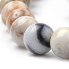 Natural Crazy Lace Agate Beads Strands G-S259-38-10mm-4