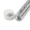 Plastic Glitter Powder Fillers LS-AJEW-H144-01B-1