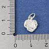 S925 Sterling Silver Pendant STER-H115-08C-S-3