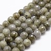 Natural Labradorite Beads Strands G-G736-04-8mm-1