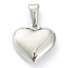 304 Stainless Steel Pendants STAS-P278-01Y-P-2