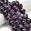Natural Chevron Amethyst Beads Strands G-I222-14mm-01-1