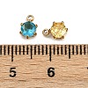 12Pcs 304 Stainless Steel with Cubic Zirconia Charms STAS-G359-03G-3