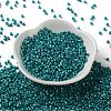 Baking Paint Glass Seed Beads X-SEED-S042-15A-17-2