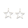 Non-Tarnish 201 Stainless Steel Pendants STAS-N098-096P-1